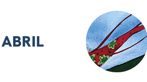 mo26_botoes-extensoes-04abril-300px